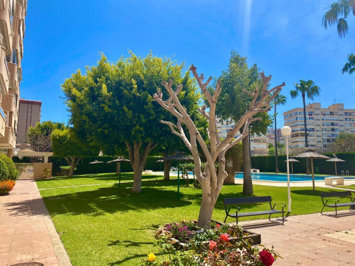 Apartamento Atenas Piscina 4 Pax, Inmobiliaria Leo Playa De San Juan لقنت المظهر الخارجي الصورة